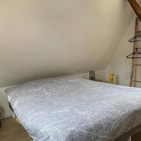 Apartment Maisonnette Alsacienne En Plein Coeur De *