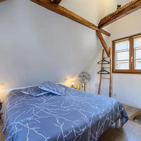 Maisonnette Alsacienne En Plein Coeur De Apartment Turckheim