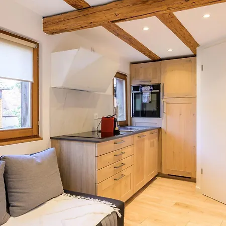 Apartment Maisonnette Alsacienne En Plein Coeur De